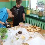 Piknik na Jesiennej 2026_011.jpg